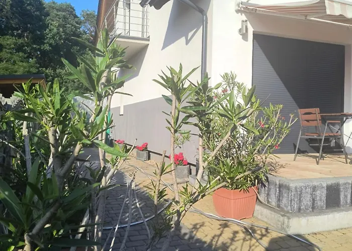 Boszkowianka Boszkowo